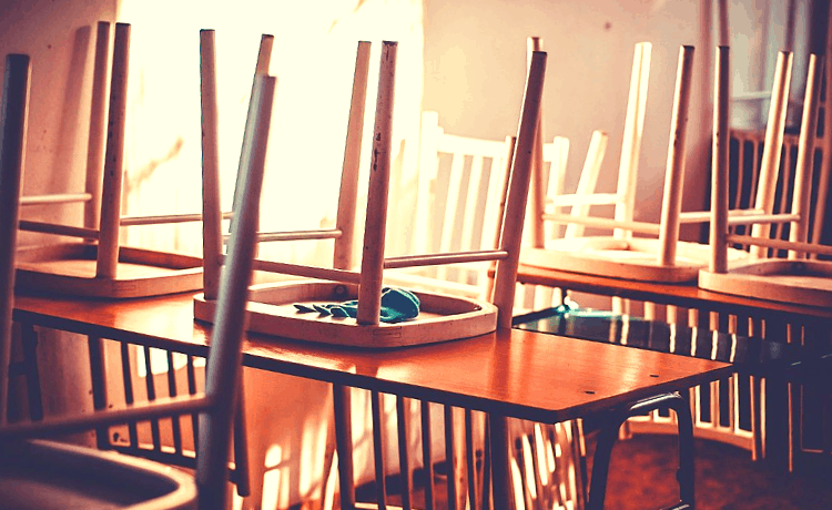 Come proporre un progetto nelle scuole primarie | Viva la ...