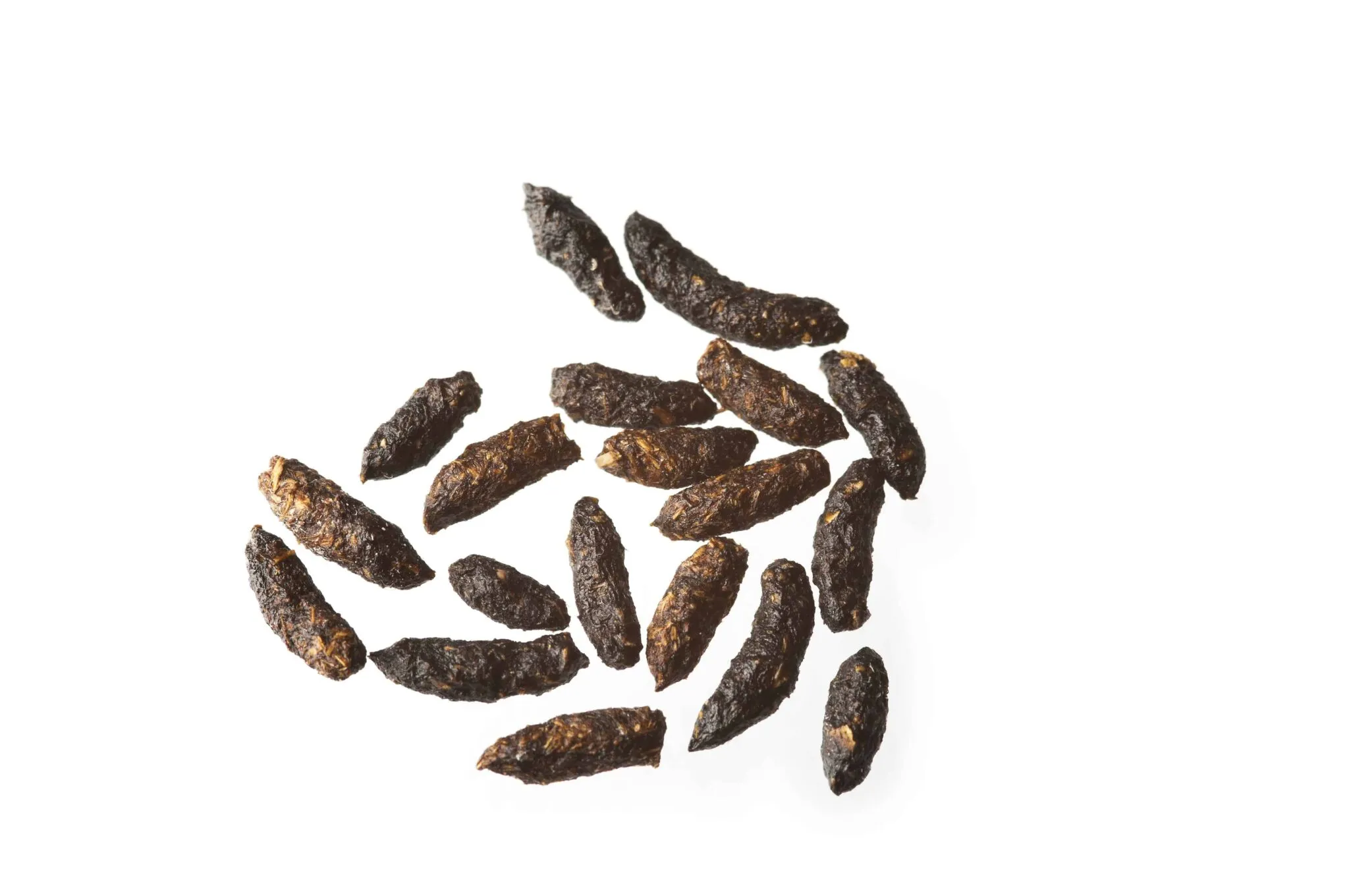 cacca di topo