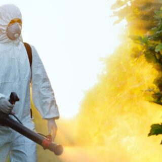Quanto costa una disinfestazione