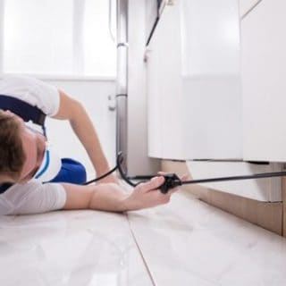 disinfestazione firenze