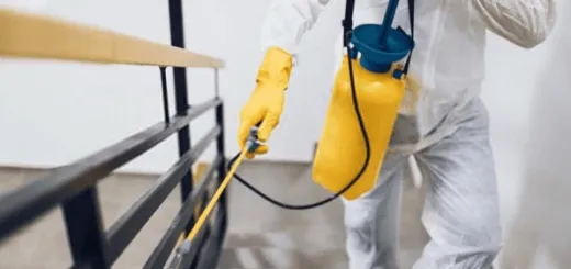 Un disinfestatore con l'attrezzatura