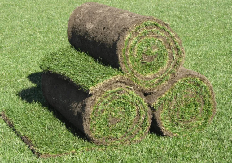 prato rotoli