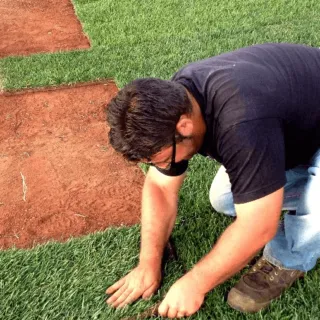 vantaggi del prato pronto