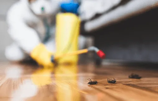 pest control