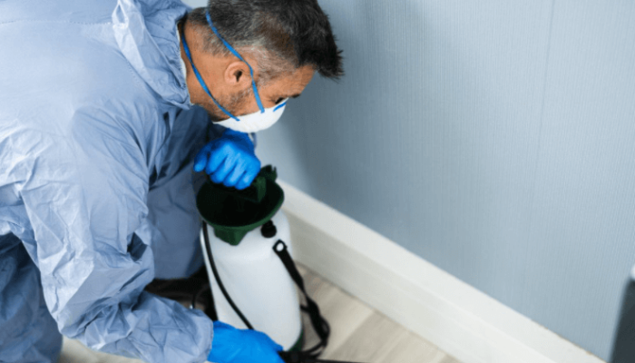 ditta di disinfestazione